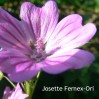 Josette Fernex